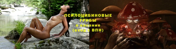 прущие грибы Семёнов
