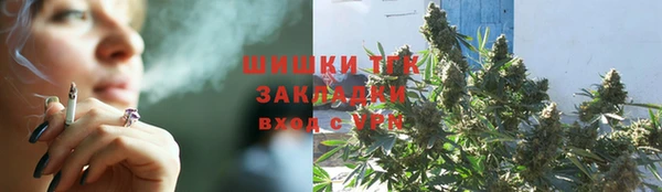 прущие грибы Семёнов