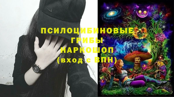 тгк Саяногорск