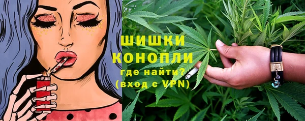 прущие грибы Семёнов