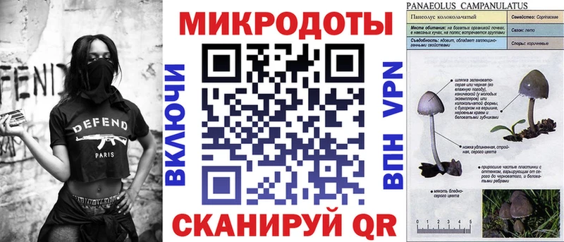 Купить где  Красноуральск  Галлюциногенные грибы Psilocybe 